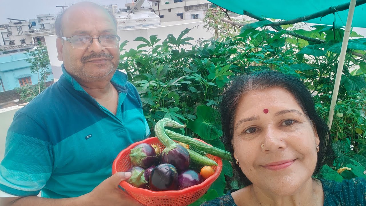 Terrace Garden overview, today harvesting 