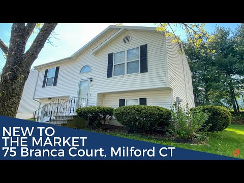 75 Branca Court, Milford, CT home video tour