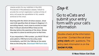 Are you thinking of entering your cat in a CFA show Here is a visual guide