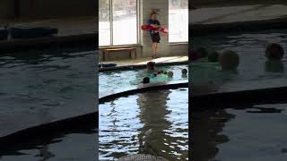 IMG 4733