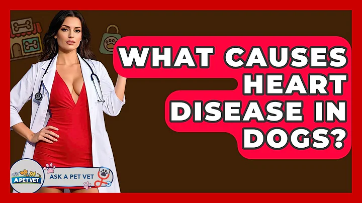 What Causes Heart Disease In Dogs? - Ask A Pet Vet