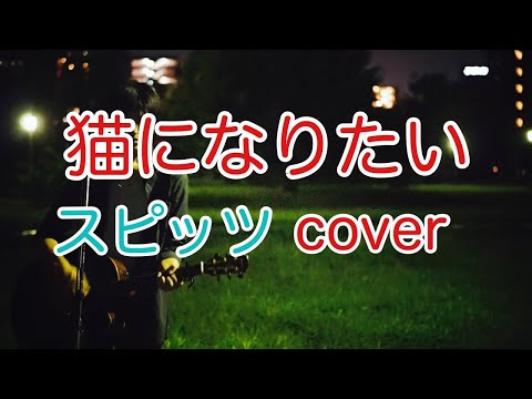 猫になりたい　スピッツ（spitz）　弾き語り　カバー／浅井しんや