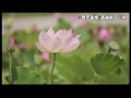母恋慕情/斎藤房子 オリジナル曲