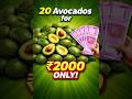 📅 Date: 17/01/26🥑 Aaj ka rate – Avocado👉 20 pieces sirf ₹2000  avocado Azadpur Fruits Mandi, Delhi