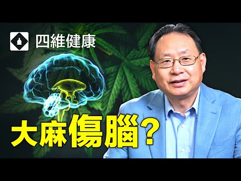 大麻對青少年大腦有什麼影響？楊醫生分析真實案例和大腦圖像。