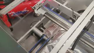FDA Packaging Flexwrap Flow Wrapper, 2020