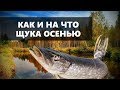 ГДЕ, КАК И НА ЧТО ЛОВИТЬ ЩУКУ ОСЕНЬЮ