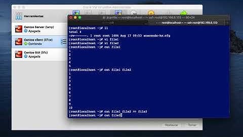 Comandos cat & tac - RedHat / Rocky Linux / Alma Linux / Oracle Linux / CentOS