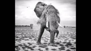 The Best Photos from National Geographic Traveler Contest’s Nature Category 2017 Slideshow