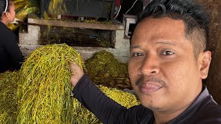 Song Saung Talas Beneng Kang Arif Channel