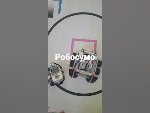 Робосумо - YouTube