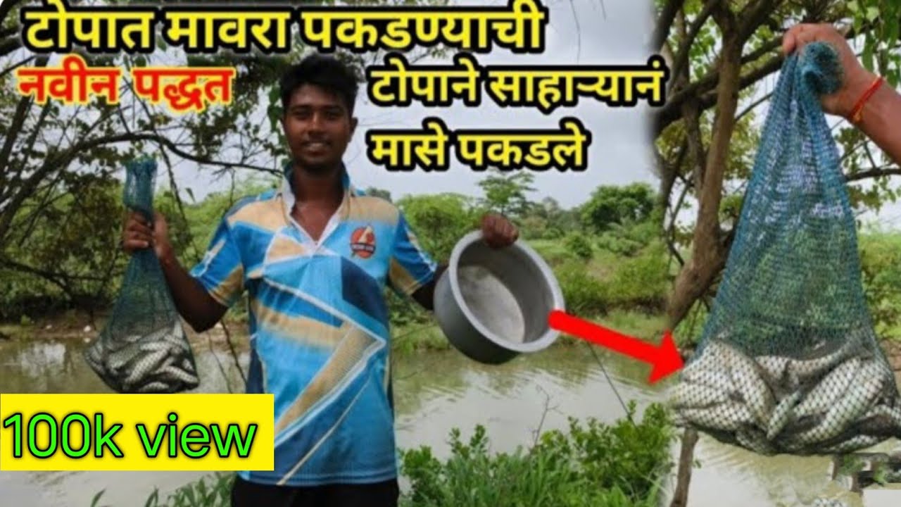 || आज आपण टोपात मावरा पकडण्याची नवीन पद्धत || 👆 Subscribe #viralvideo #viral #youtubeshorts