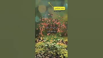 سورة ق الاية 31-35