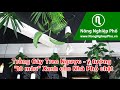 Giao Dịch Hiệu Quả Mùa Covid Cùng ASXMarkets