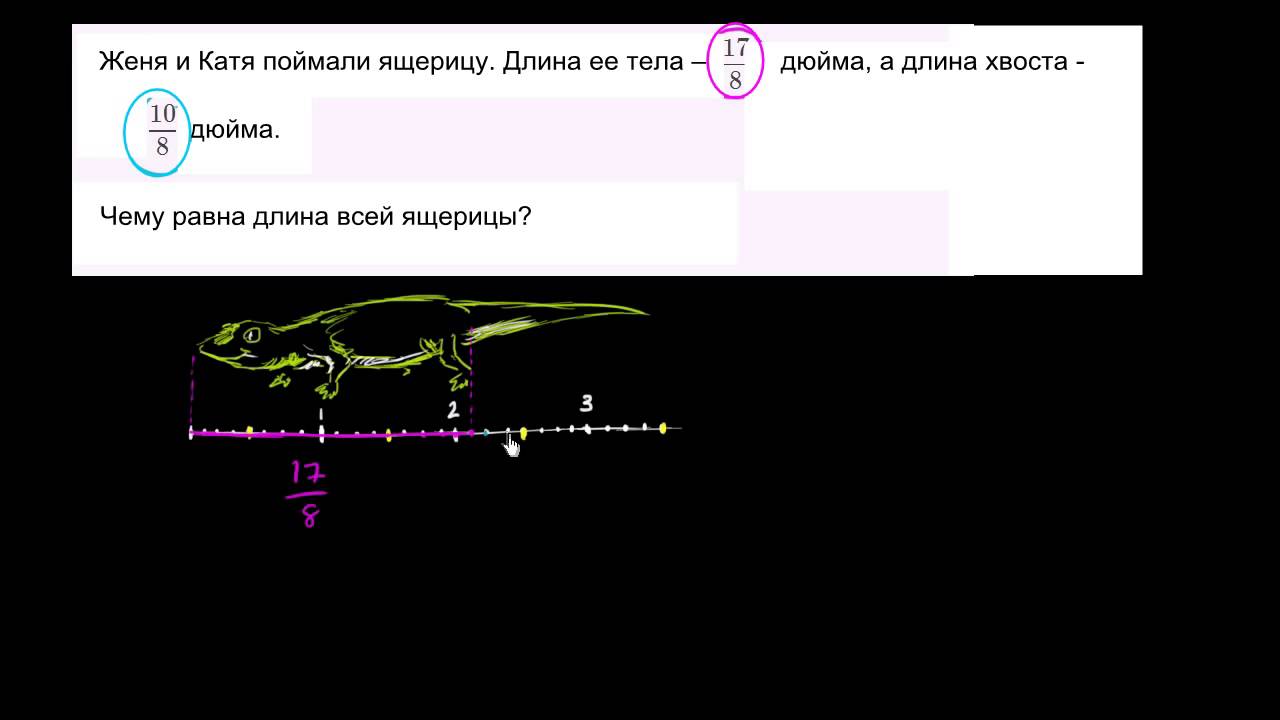 Какая длина этой ящерицы - YouTube