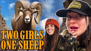Chased By A Bighorn Sheep!