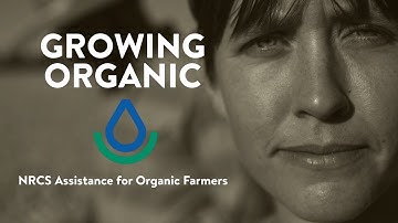 Growing Organic