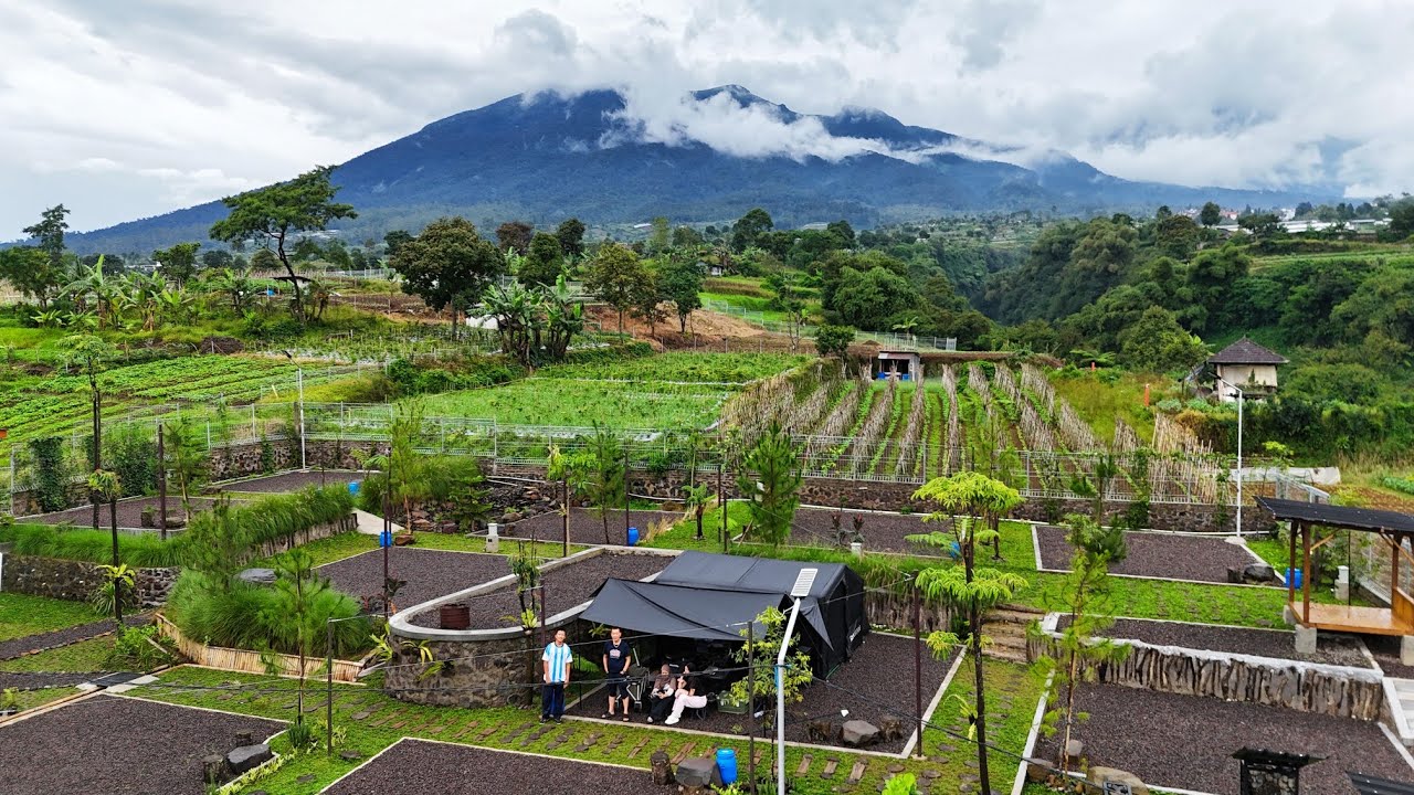 Camping Keluarga di BUNGAS CAMP AND COFFEE | Cianjur, Jawa Barat | 인도네시아 캠핑 