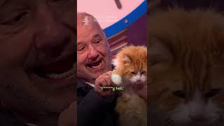 Bob Mortimer's sweary cat is a certified movie star #CatsDoesCountdown
