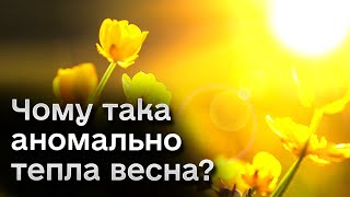 🌞 Якщо весна така тепла, то влітку взагалі буде суцільна спека?