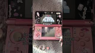 papers please on a modded 3DS #modded3ds #nintendo #3dsnintendo #aynthor #switch2 #papersplease