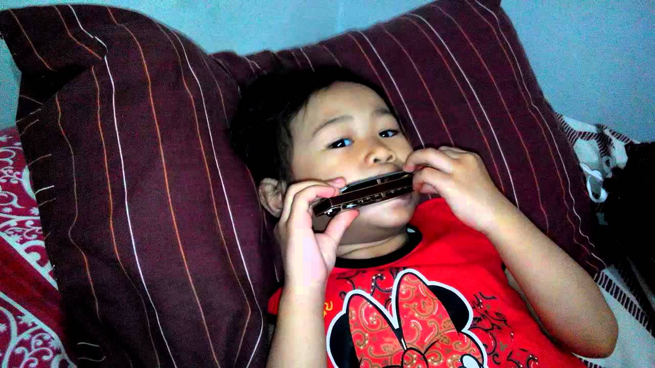 [Preschool at Home] Bermain Harmonika YouTube