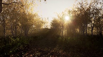 Unreal Engine 4.26 Preview / Raytracing and Realtime Sky light Capture trials