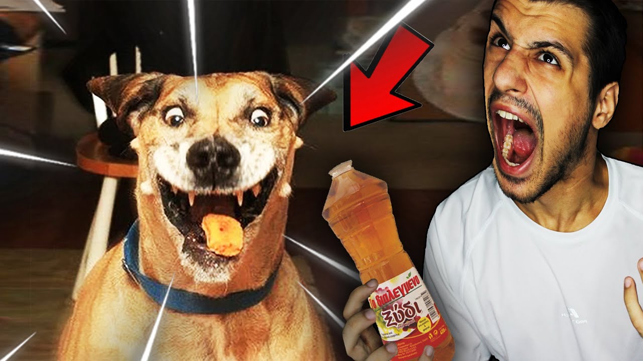 ΑΝ ΓΕΛΑΣΕΙΣ ΠΙΝΕΙΣ ΞΥΔΙ CHALLENGE!