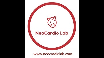 Speckle Tracking Echocardiography in the NICU