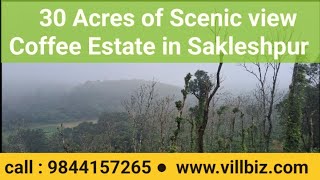 🌿 30 Acres Coffee Estate for Sale in Sakleshpur | Coffee, Areca Nut & Pepper Plantation