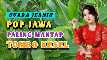 KOLEKSI TEMBANG CAMPURSARI JAWA | COCOK KANGGO TOMBO NGANTUK - PALING GAYENG NGANTUKE BaBLAS