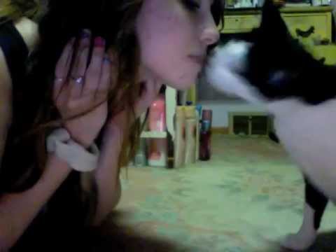 Comment enseigner un chat à baiser !!