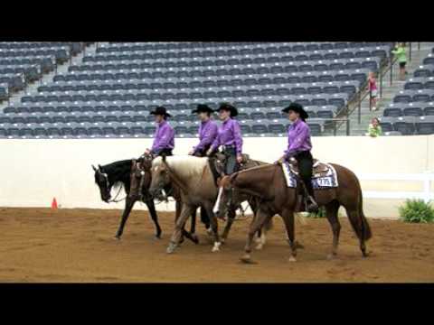 2009 NAJYRC Reining: USA North Central Wins with 6...