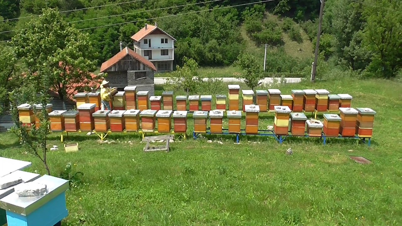 Pcelinjak porodice Isakovic  2018 (beekeeping in the family isakovic)