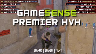 20k+ Premier HvH 🆚 Team Liquid | ft. gamesense.pub
