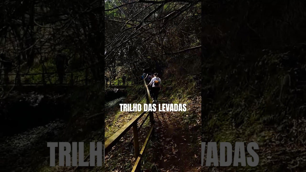 Short Hike Around an Old Village (Trilho Das Levadas, Arouca - PR11) 🇵🇹 