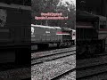 Gandhi jayanti Special Locomotive 🇮🇳🚂 #indianrailways #shorts #train #wdp4d #gandhijayanti #viral