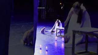 Moment playful cat steals the show during ballet performance in Turkey | #yahoonewsau