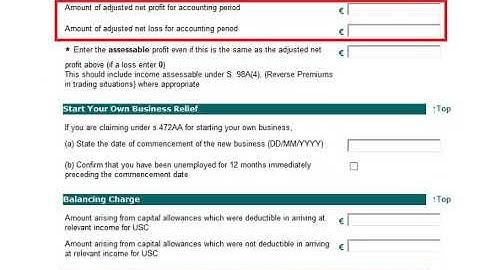 Completing the self employed income section in Form 11 2018