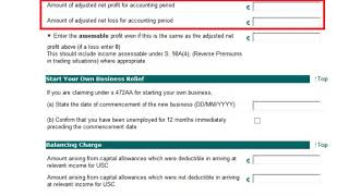 Completing the self employed income section in Form 11 2018