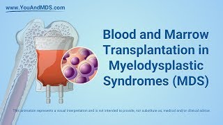 Blood and Marrow Transplant in MDS