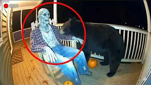CCTV | 🐻 Bears Scared by Halloween Decorations 🎃 Part 2 (Hilarious Reactions)