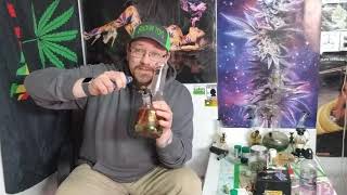 Jack Herer  THC%25.82  Strain review