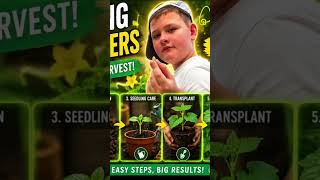 Planting Cucumber Seeds at Home 🌱 Watching Them Grow Step by Step! 🥒