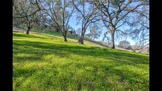 Bunker Hill Acres, 7.18 Acres Amador County California