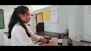 Maceration Process Of Plant Extraction By Using Suitable Solvent