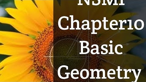 Basic Geometry Ex10 A Q:1 NSM1 D1 O level maths.