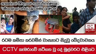 රටම කම්පා කරවමින් වාසනාට සිදුවූ ඛේදවාචකය... CCTV කැමරාවේ පටිගත වූ දේ මුල්වරට එළියට image