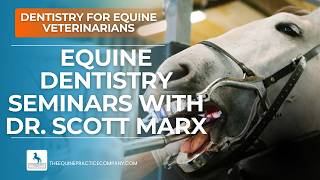 Equine Dentistry Seminars with Dr. Scott Marx: Instrument Insights