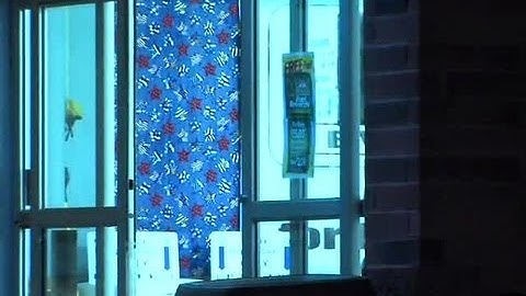 Raw: Bomb Squad robot